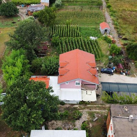 Apartman Balsa Kotor Bagian luar foto