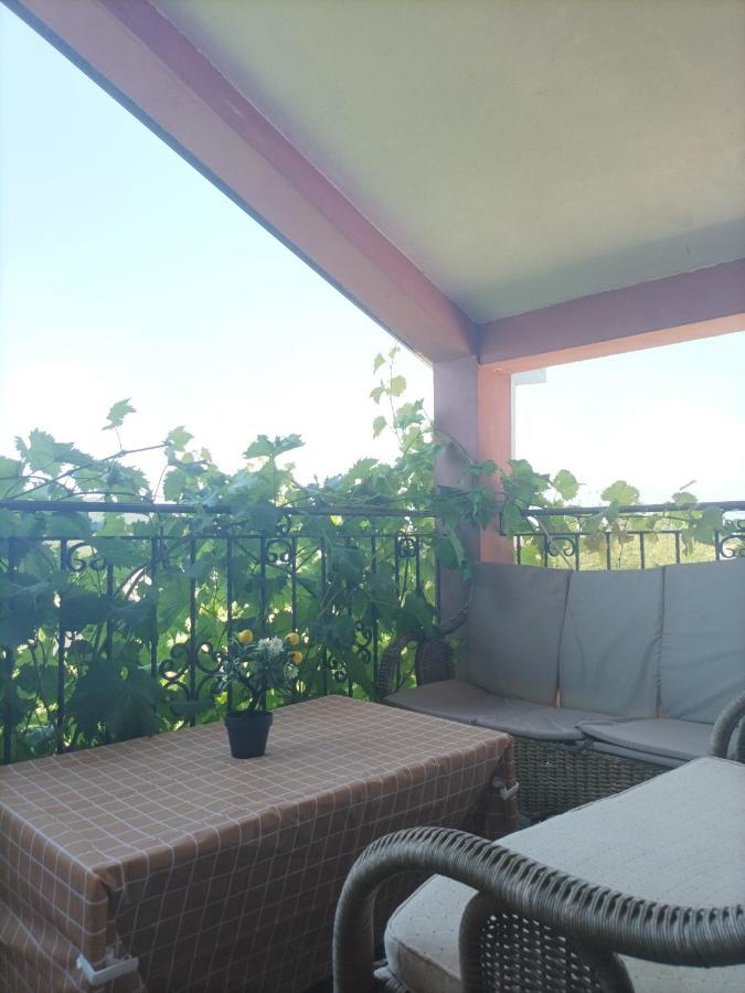 Apartman Balsa Kotor Bagian luar foto